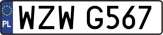 WZWG567
