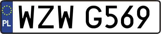 WZWG569