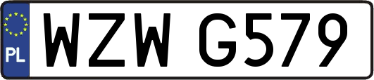 WZWG579