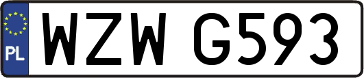 WZWG593