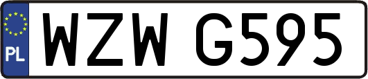 WZWG595