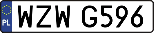 WZWG596