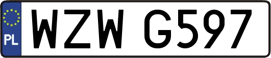 WZWG597