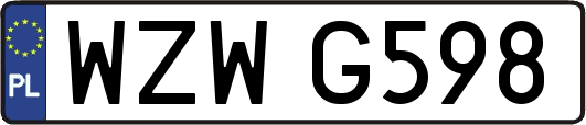 WZWG598