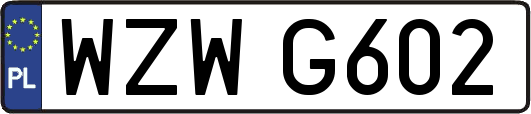 WZWG602