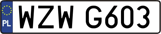 WZWG603
