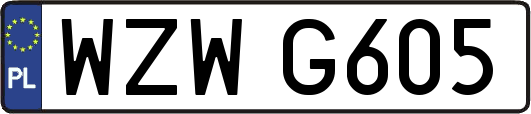 WZWG605