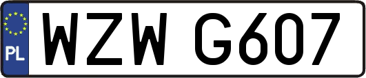 WZWG607