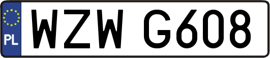 WZWG608