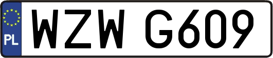 WZWG609