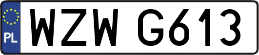 WZWG613