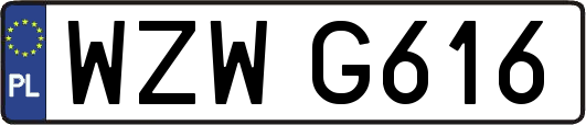 WZWG616