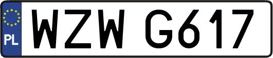 WZWG617