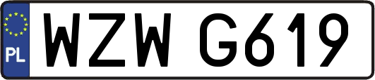 WZWG619