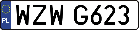 WZWG623