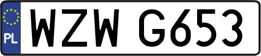 WZWG653