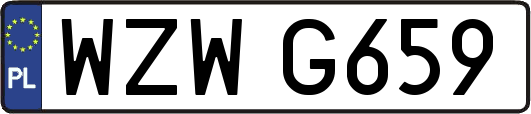 WZWG659
