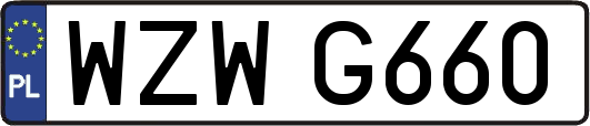 WZWG660