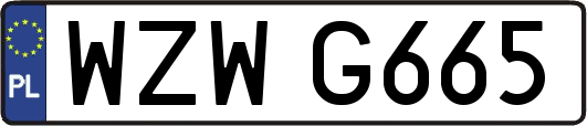 WZWG665