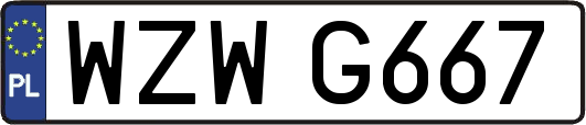 WZWG667