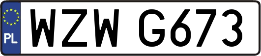 WZWG673