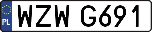 WZWG691