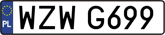 WZWG699