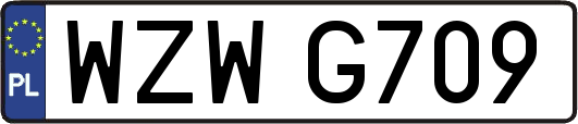 WZWG709