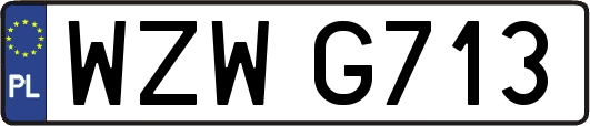 WZWG713