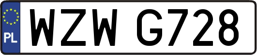 WZWG728