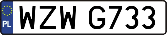 WZWG733