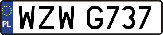 WZWG737