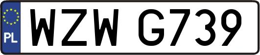 WZWG739