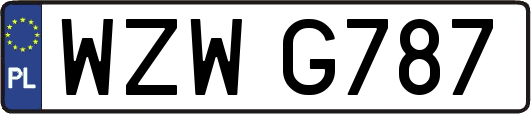 WZWG787