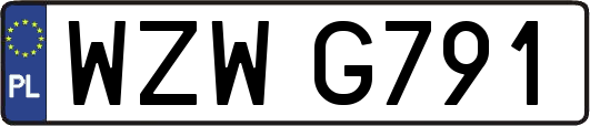 WZWG791