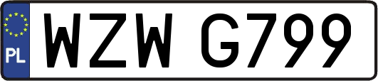 WZWG799