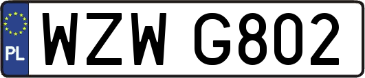 WZWG802