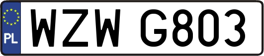 WZWG803