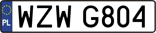 WZWG804