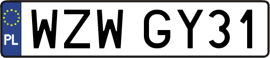 WZWGY31