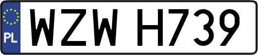 WZWH739