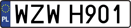 WZWH901