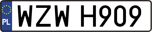 WZWH909