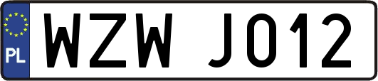 WZWJ012