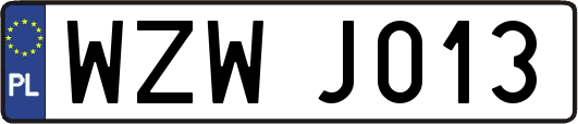 WZWJ013
