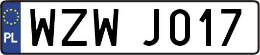WZWJ017
