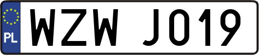 WZWJ019