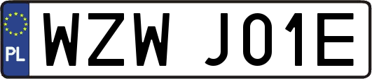 WZWJ01E