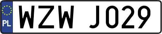 WZWJ029