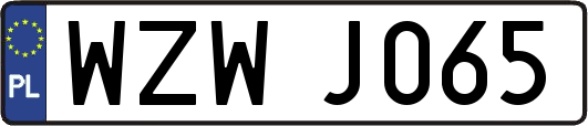WZWJ065